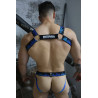 Breedwell Harnais Equalizer Noir-Bleu
